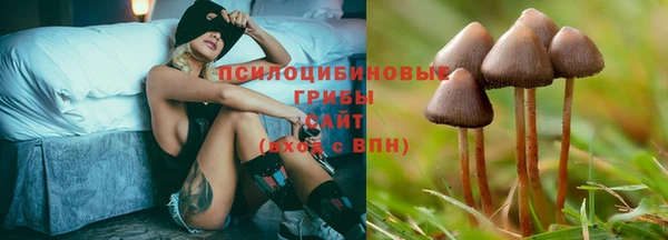 прущие крисы Абдулино