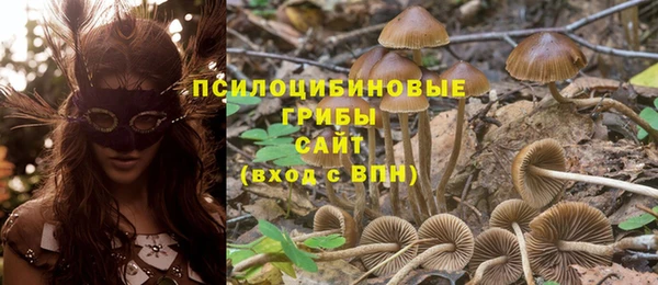 не бодяженный Абинск
