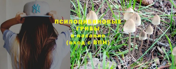 прущие крисы Абдулино