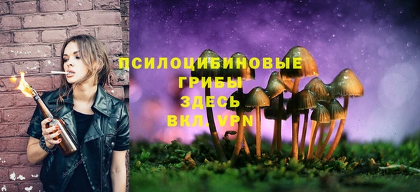 mix Абаза