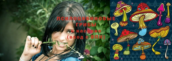 mix Абаза